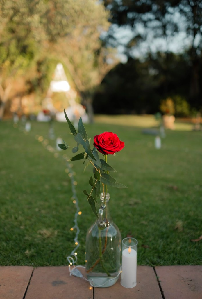 Junior and Portia wedding